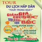 TOUR GIÁ SỐC