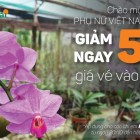 KHUYẾN MÃI DỊP LỄ 20/10