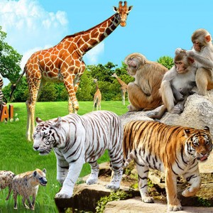 Giới thiệu Vườn bách thú