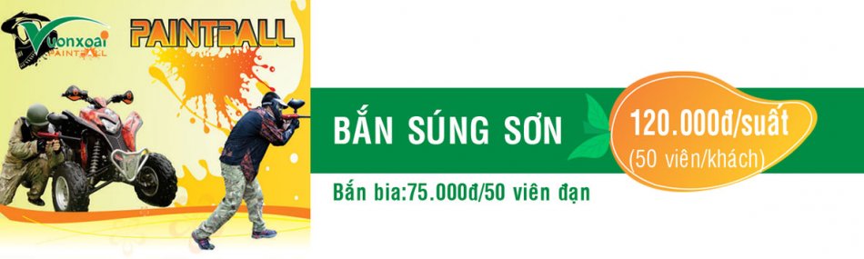 banner-sung-son